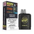 Level X Boost Pod 20ml - Flavour Beast — product photo — Federal excise stamp