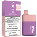 Vice Box 6000 - Disposable - Apple Kiwi Watermelon Ice